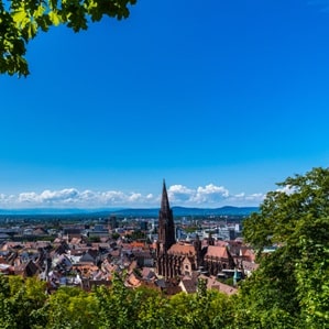 Germany,,Above,Roofs,And,Ancient,Gothic,Minster,Building,Of,Popular